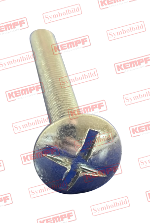 22172 KEMPF Becherschraube M6x20